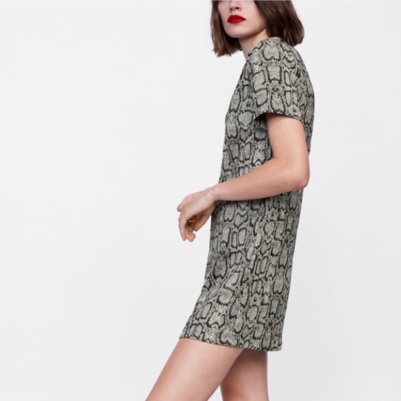 Zara Textured Snakeskin Shift Dress - Picture 2 of 3